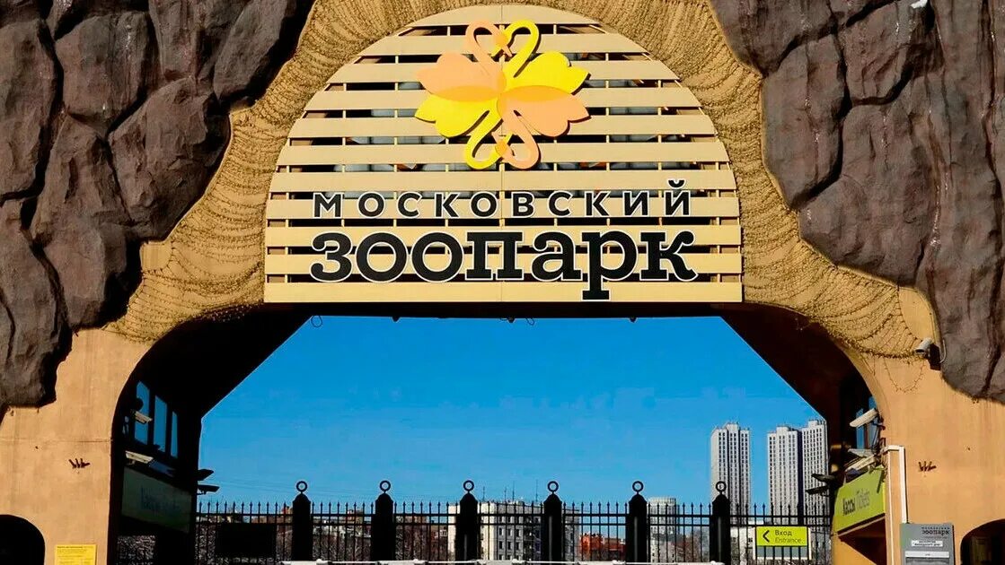 Ленинградский зоопарк цена билета 2024. Московский зоопарк мост. Новый мост в Московском зоопарке. Московский зоопарк режим работы. Московский зоопарк в ноябре.