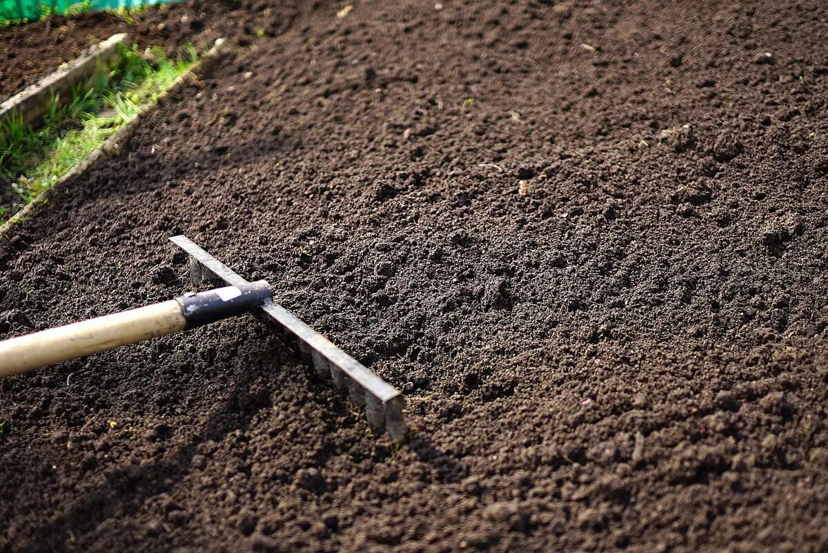 Какая должна быть земля для посадки. Подготовка почвы к посадке. Предпосадочная подготовка почвы. Подготовка земли к посеву. Рыхление почвы.