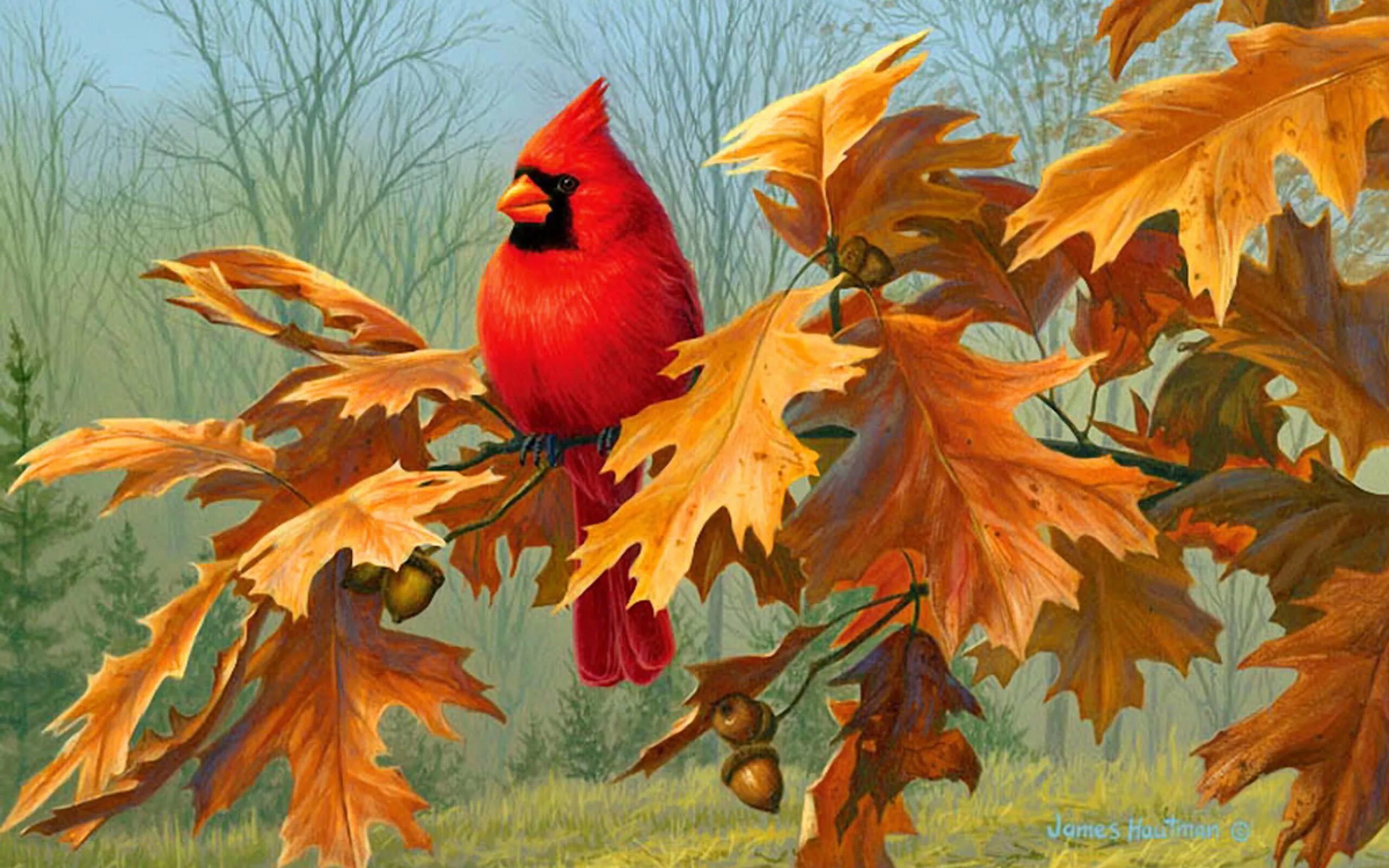 На ветки клена сели птицы. Rosemary Millette картины. Птицы живопись. Осенние птицы живопись.