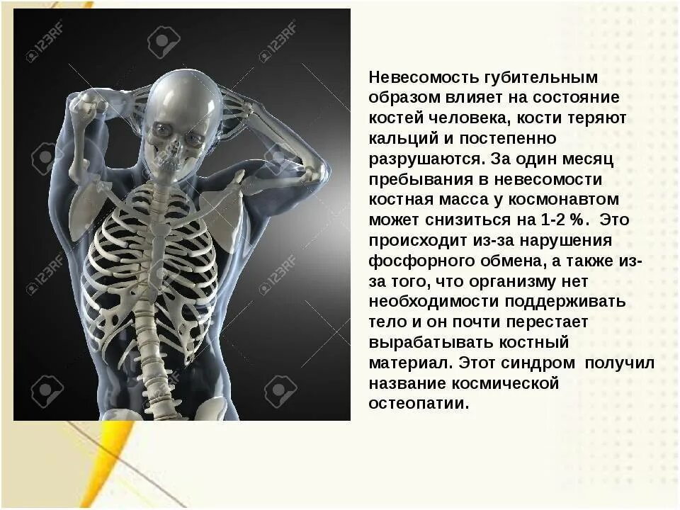 И молодые люди кости человека. Сколько костей в теле человека. Сколько всего костей у человека. Скршько в теле человека костей. Факты о скелете человека.