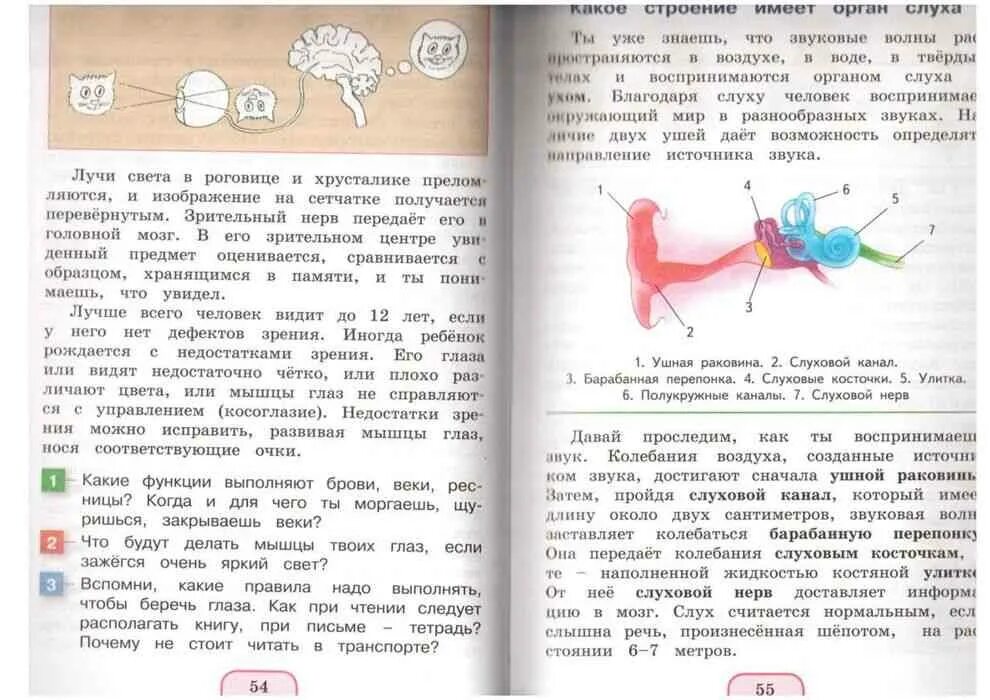 Учебник по окружающему миру 3 класс. Поглазова окружающий мир 3 класс часть 2. Окружающий мир 3 класс учебник 2 часть Поглазова. Поглазова окружающий мир 3 класс класс.