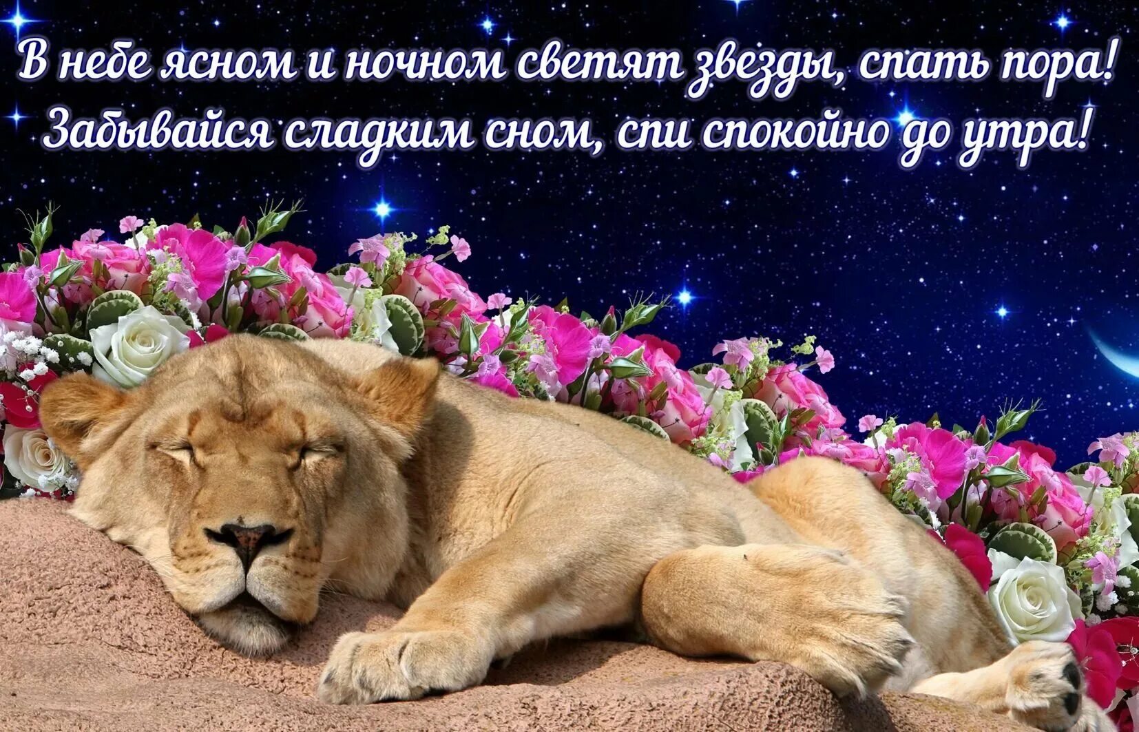 Пожелание добрых снов девушке. Открытки спокойной ночи. открытки спокойной ночи красивые. открытки спокойной ночи сладких снов красивые. цветы с пожеланием спокойной ночи.