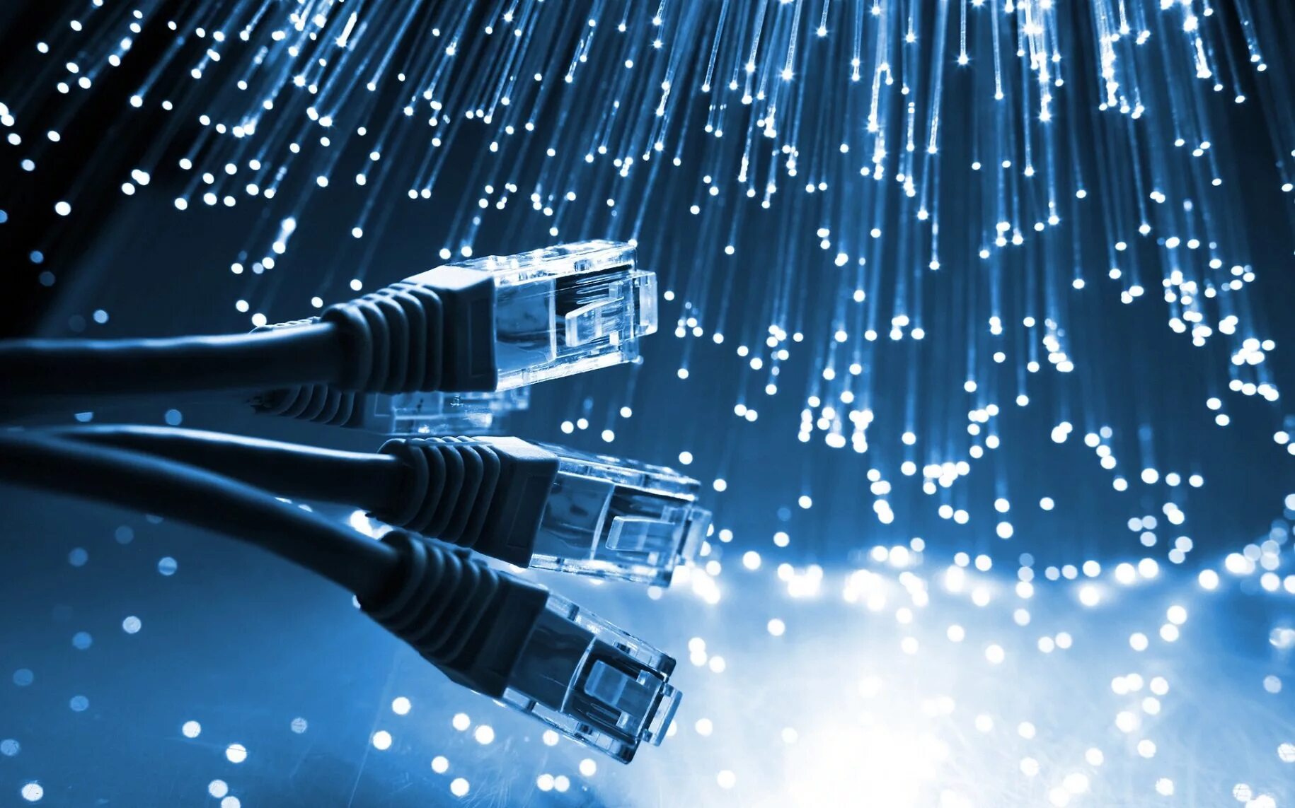 Провайдер network