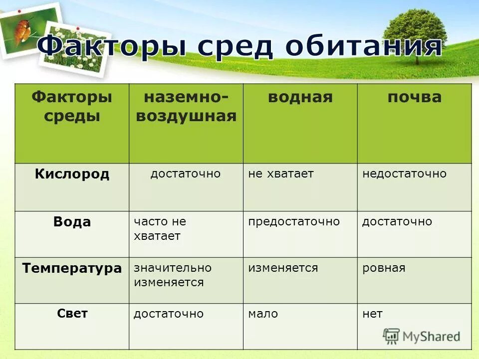 характеристика среды живые организмы. характеристика среды живые организмы. характеристика среды вид среды таблица. обитатели почвенной среды обитания. характеристика сред жизни таблица биология 5 класс.
