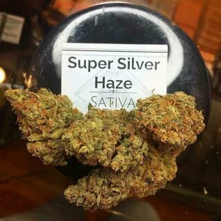 Haze piece подарки