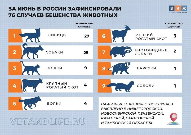 Сколько зараженных животных
