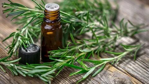 Rosemary oil