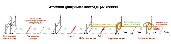 Если при правильно установленном маршруте свободном. Схемы конкурных упражнений для лошади. Упражнения для лошади конкур. Схема барьеров в конкуре. Дистанция между препятствий в конкуре.