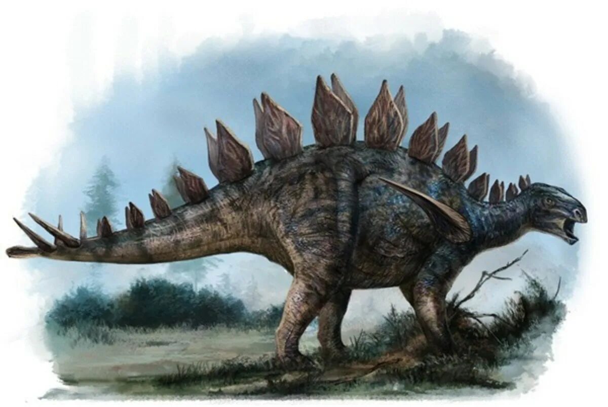 Huayangosaurus taibaii. Стегозавр парк Юрского периода. Стегозавр арматус. Стегозавр динозавры Юрского периода. Травоядные динозавры с шипами