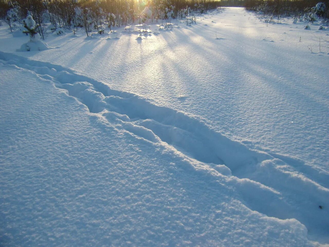 Дорогу в глубоком снегу. Колея в снегу. Следы на снегу. Борозда на снегу. Следы на Глубоком снегу.