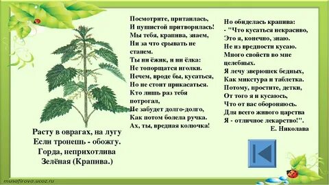 Крапива песни слушать