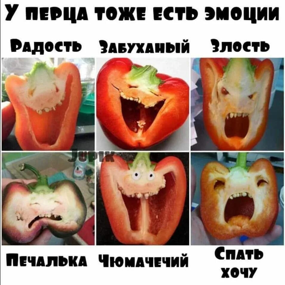 Анекдоты с перчиком. Анекдот про перец. Анекдоты про поваров. Анекдот про перец. Факты о перце.