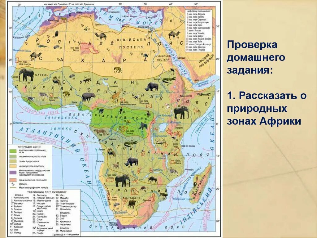 Атлас 7 класс география африка природные зоны. Охраняемые территории африки. Карта заповедников и национальных парков африки. Доклад о национальном парке африки. Особые охраняемые территории африки.