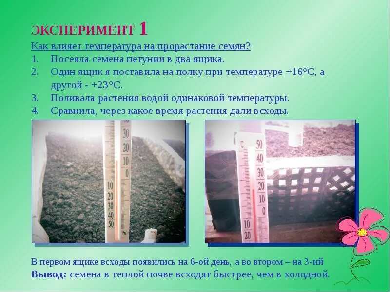 Как влияет освещенность на прорастание. Как температура влияет на прорастание семян. влияние почвы на прорастание семян опыт. что влияет на температуру прорастания семян. температура влияет на скорость прорастания семян.