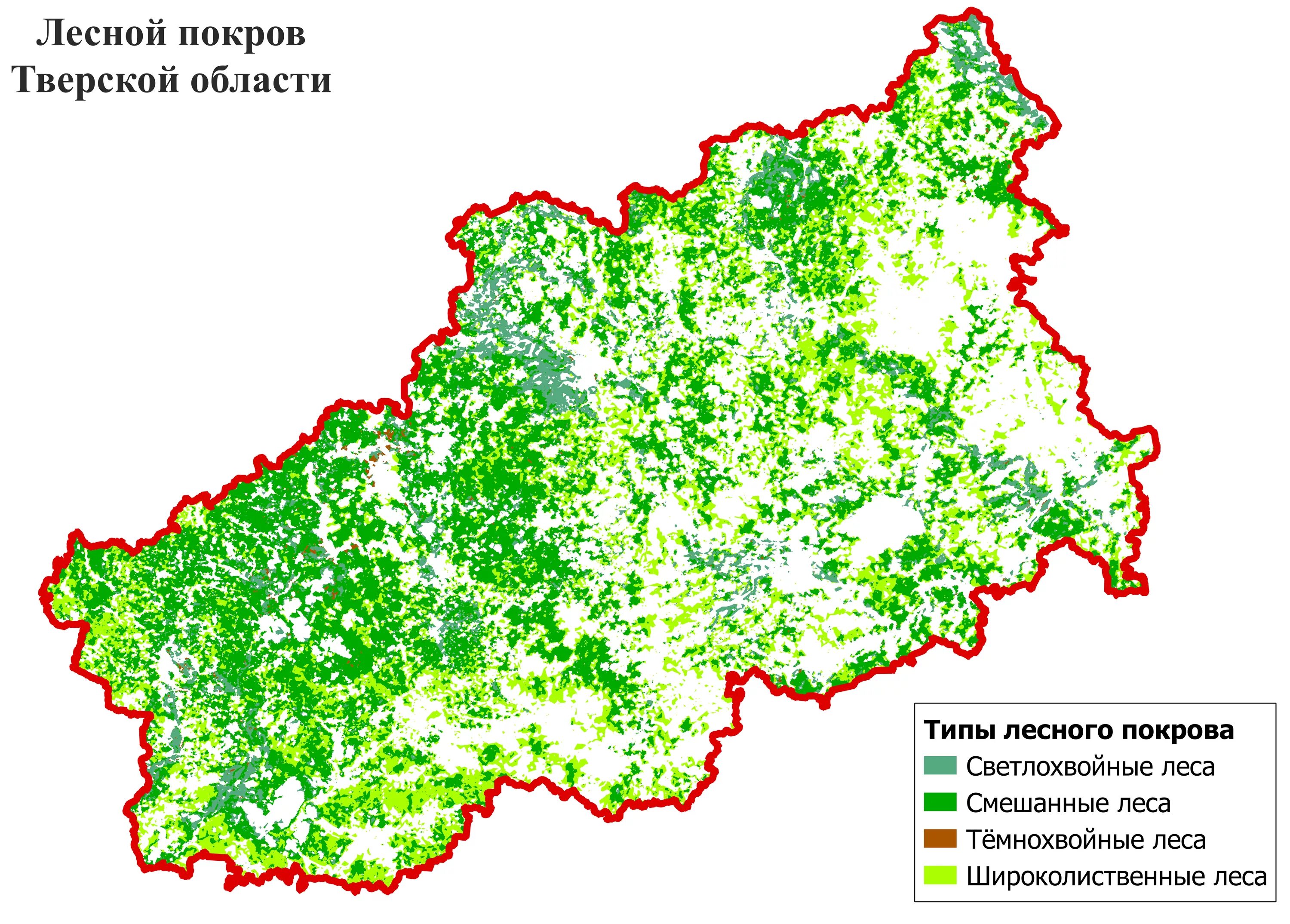 Лесной Покров Тверской области. Карта лесов Тверской области. Карта лесов Тверской области подробная. Карта почв Тверской области. Какая природная зона в тверской области