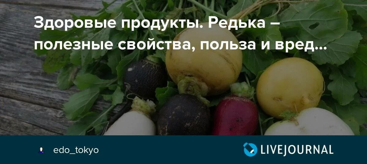 Польза зеленой редьки. Чёрная редька польза и вред. Редька польза и вред для организма человека. Горькая редька польза и вред. Редька плюсы и минусы.