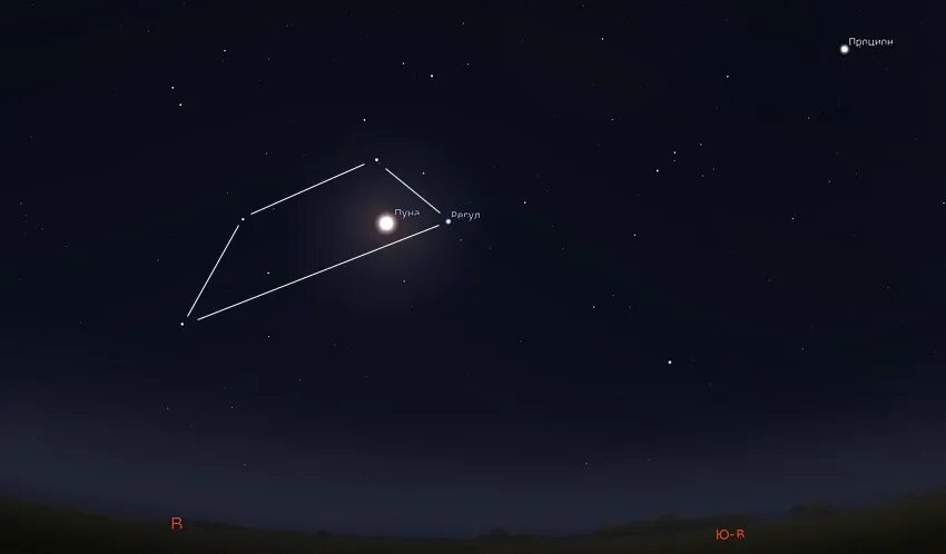 созвездие регул – альфа льва. альфа льва. регул (звезда). лион альфа. регул альфа льва.