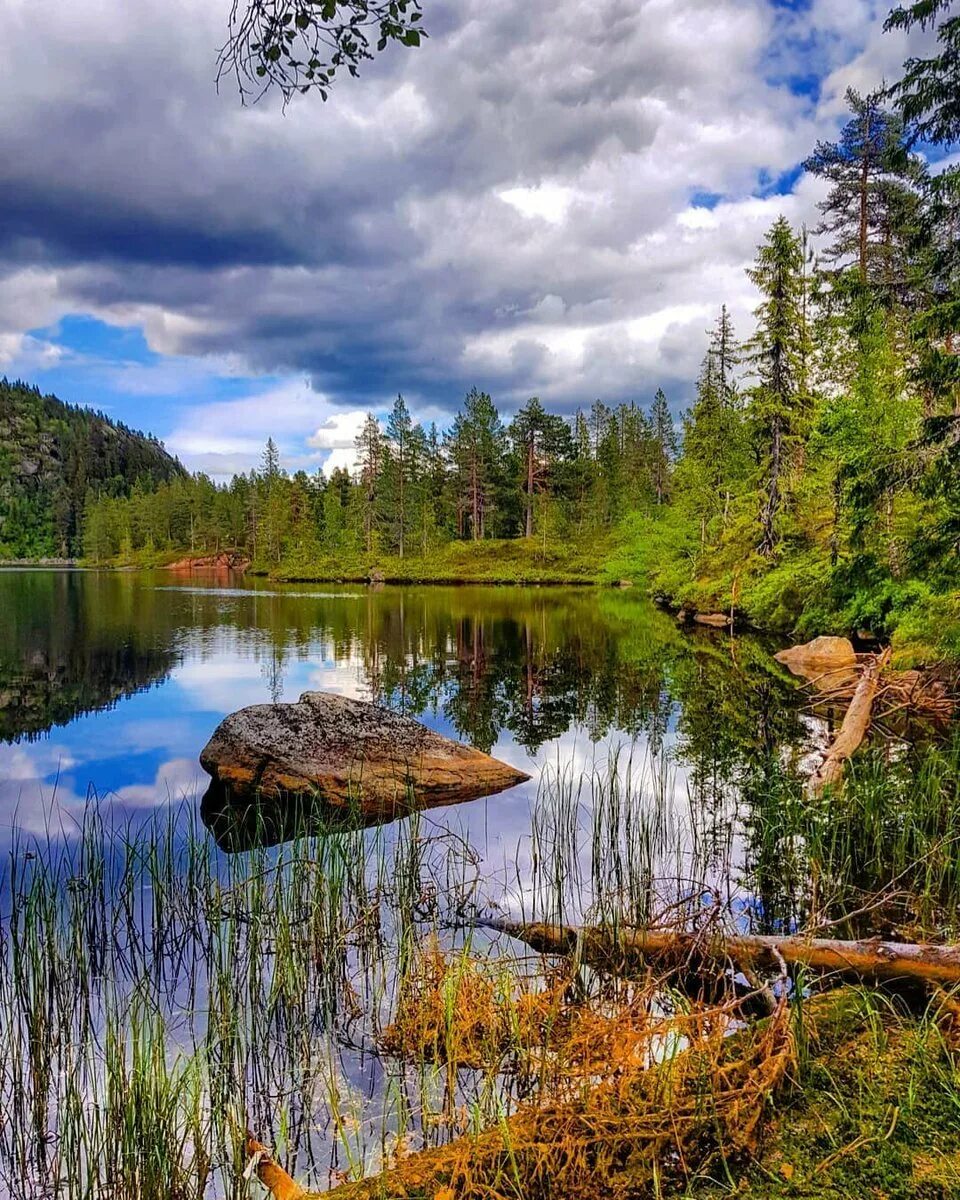 Красота природы читать