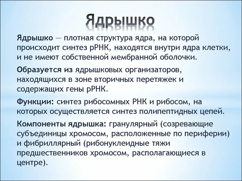 Как называют плотную структуру внутри ядра. Малая ядрышковая РНК строение. Ядрышки Синтез ядрышковых РНК. Ядрышко ядрышковый организатор функции. Ядрышковый организатор это.