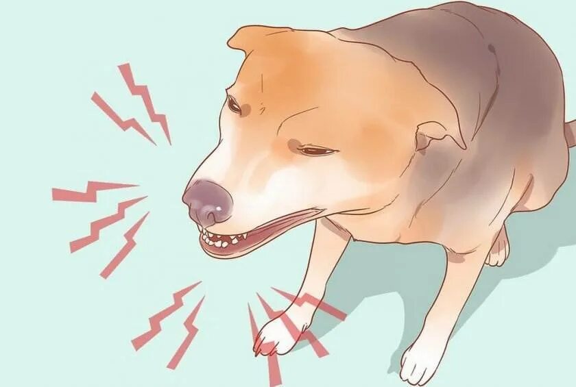 Собака пытается не кашлять