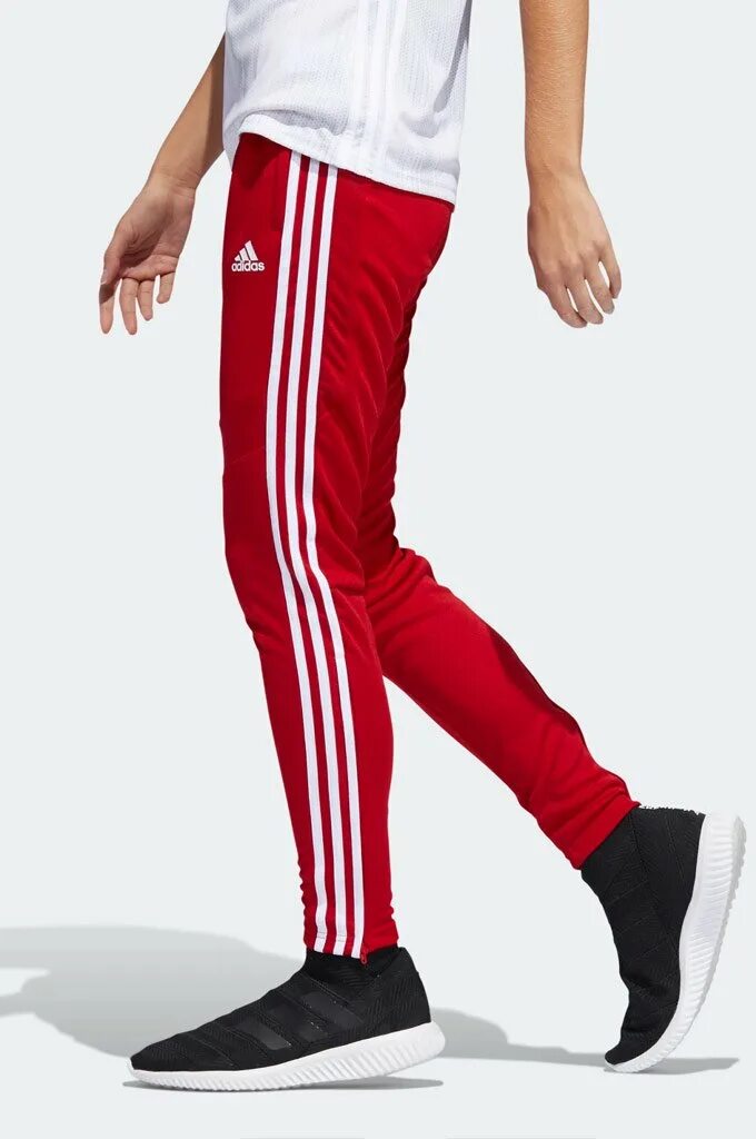 Красные штаны адидас. Tiro 19 adidas брюки. Adidas tiro 19 Training. Adidas tiro 19 трико. Adidas tiro 15 Red.