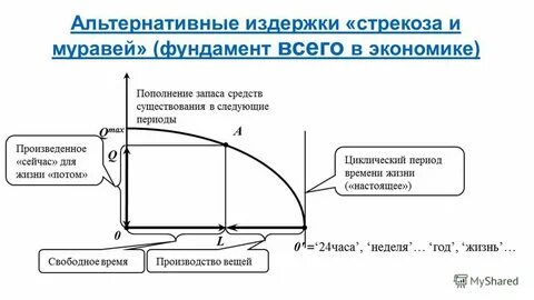 Альтернативные издержки строительства нового стадиона это