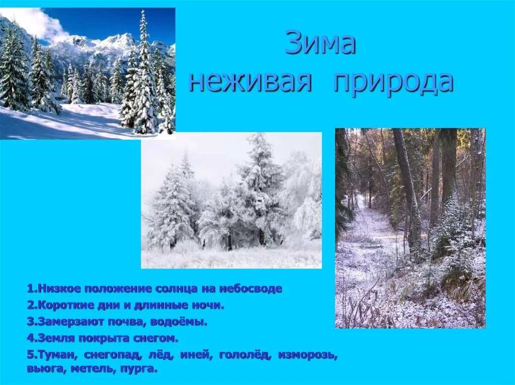 Явления зимы 2 класс окружающий мир