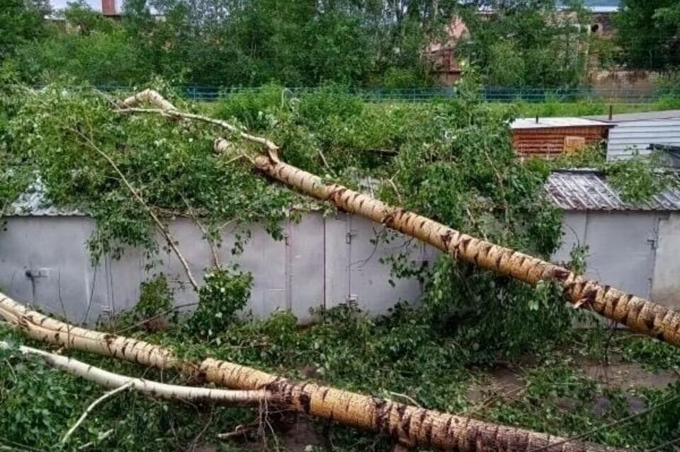 Ураган в Забайкальском крае. Упавшие деревья после урагана в Самаре. Вырванные деревья и столбы после урагана. Деревья в Забайкальском крае.