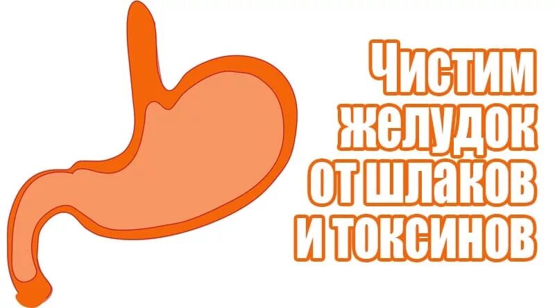 Очищение жкт. Очищение жкт