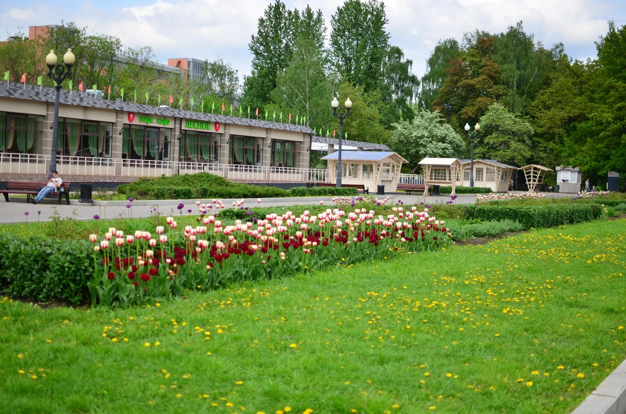 Измайловский парк культуры. Парк Измайловский проспект. Парк культуры Измайлово. Парк культуры Измайлово метро. Измайловский парк московский просп 2 фото