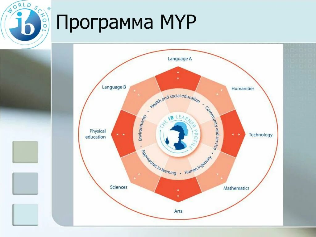 Программы муру