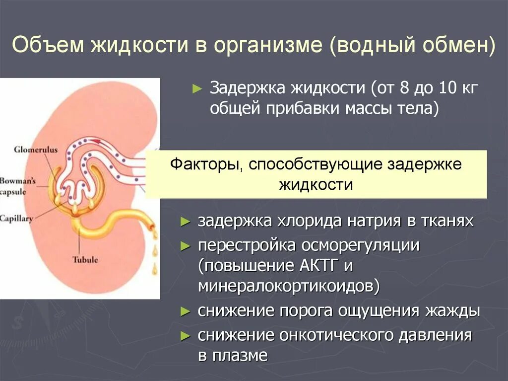 Вода не задерживается в организме. Задержка жидкости в организме. Задерживается жидкость в организме. Застой жидкости в организме причины. Задержка воды в организме причины.