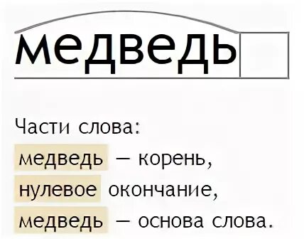 Анализ слова медведь