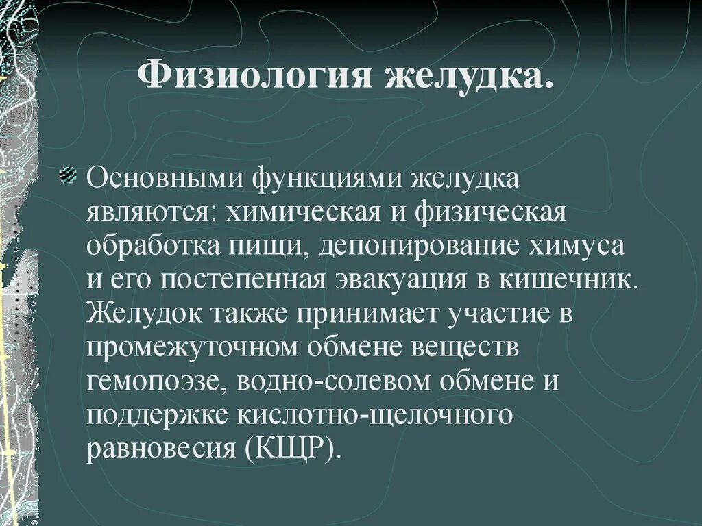 Основная функция желудка. Физиология желудка. Функции желудка физиология. Роль желудка в депонировании пищи. Функции желудка депонирование.