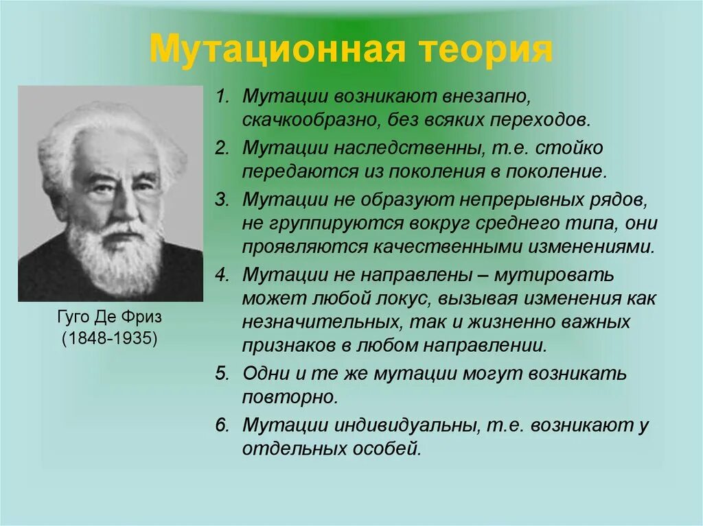 Мутационные изменения возникают. Гуго де фриз мутационная теория. Теория Хуго де Фриза. Мутационная теория Фриза. Теория мутации Хуго де фриз.