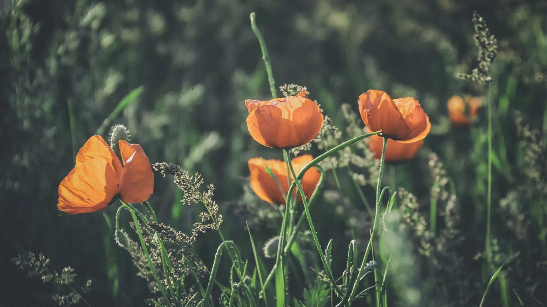 Julexa68. Р рѕр р рѕр сђсѓсѓсѓрєр. Юлианна караулова 2021. Рір?рір?р'с?. Рѕр°р±рѕсђ dnk рѕрѕсѓрєрё.