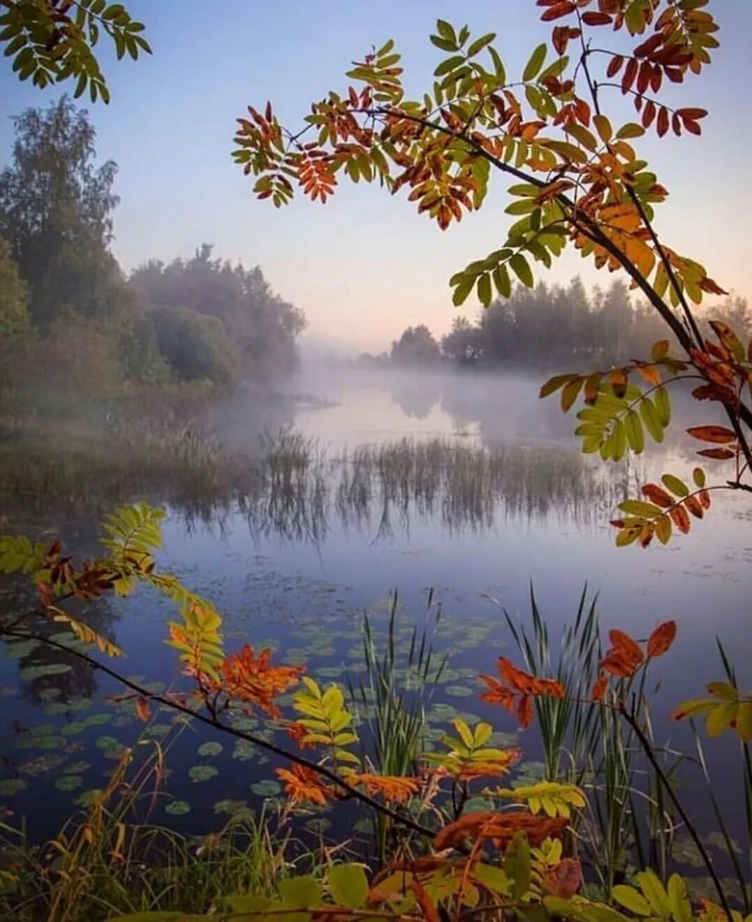 Осенний пейзаж. Осеннее озеро. Природа осенью. Сентябрьское утро. Красивые пейзажи добрым утром картинки