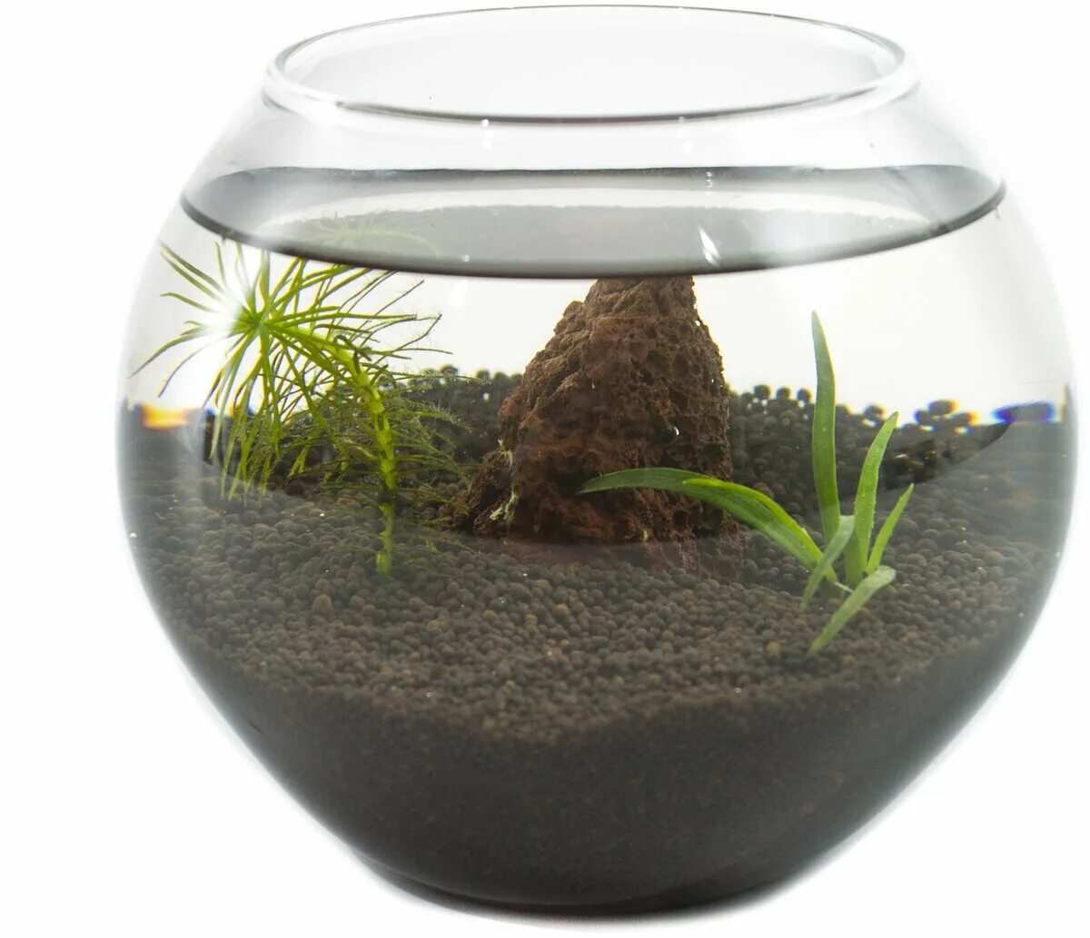 грунт пропант для аквариума отзывы. аквариумный грунт пропант. флоратон. грунт пропант для аквариума. грунт пропант для аквариума отзывы.