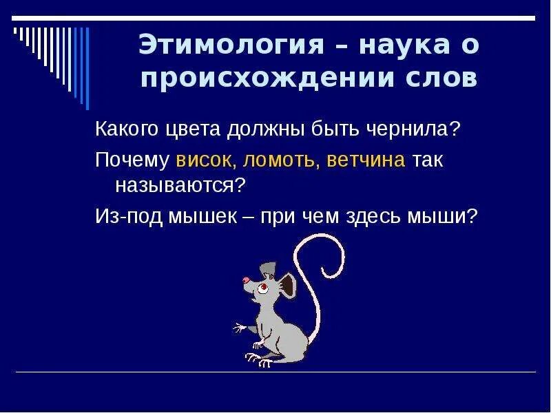 Как произошло слово почему. Презентация на тему этимология слов. Этимология это наука. Наука о происхождении слов. Этимология наука о происхождении слов.