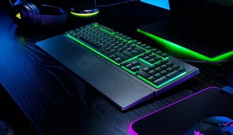 Razer ornata