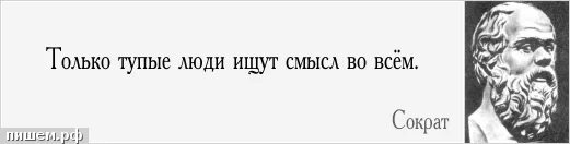 В смысле глупая. Тупые цитаты. Только тупые люди ищут смысл во всем. Цитаты про тупых людей. Только тупые люди ищут смысл во всём Сократ.