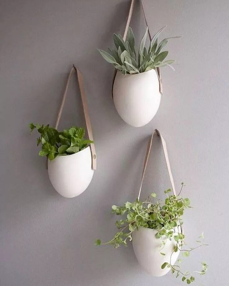 9 Wonderful Ways to Display Indoor Plants - The Owner-Builder Network Wall plant