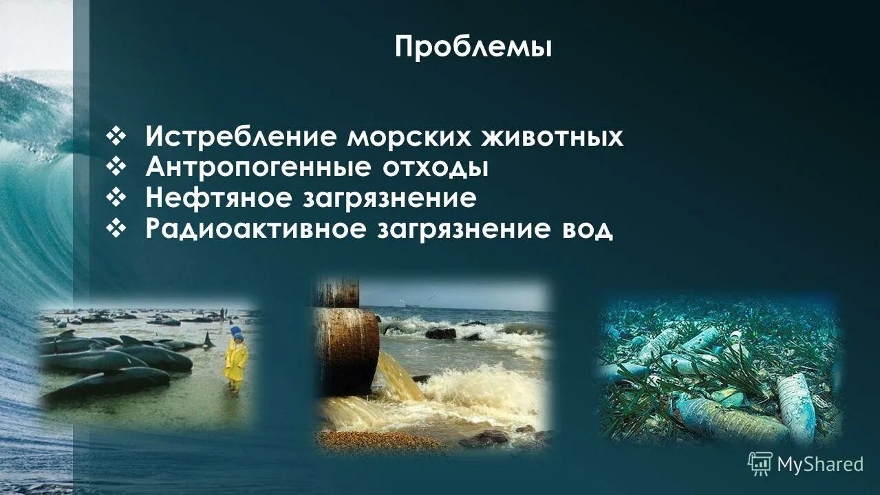 Проблема использования ресурсов мирового океана. Антропогенное воздействие на мировой океан. Радиоактивное загрязнение вод мирового океана. Проблема использования мирового океана причины. Карта нефтяного загрязнения мирового океана.