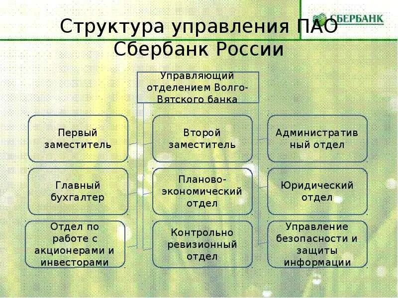 Организационная структура банка пао сбербанк. Организационная структура пао сбербанк рф. Структура управления пао сбербанк 2022. Организационная структура пао сбербанк схема. Организационная структура управления сбербанка схема.