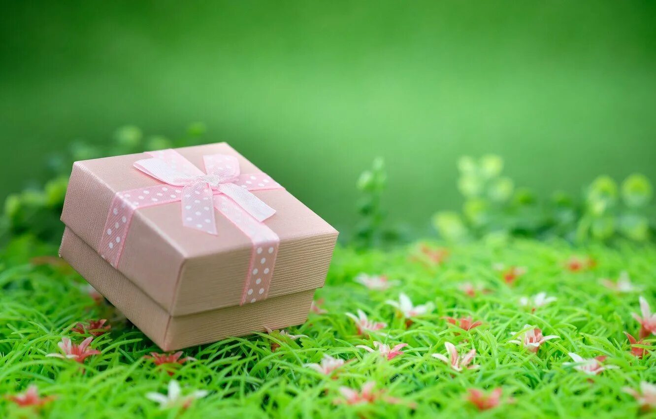 юлия шутегова скрапбукинг. коробки для подарков. летняя коробочка. подарки обои. летняя коробочка.