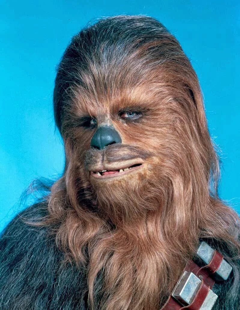 Чуви чубака. Чубака из звездных. Чубака это кто. Star wars чубакка. Чубака это кто.