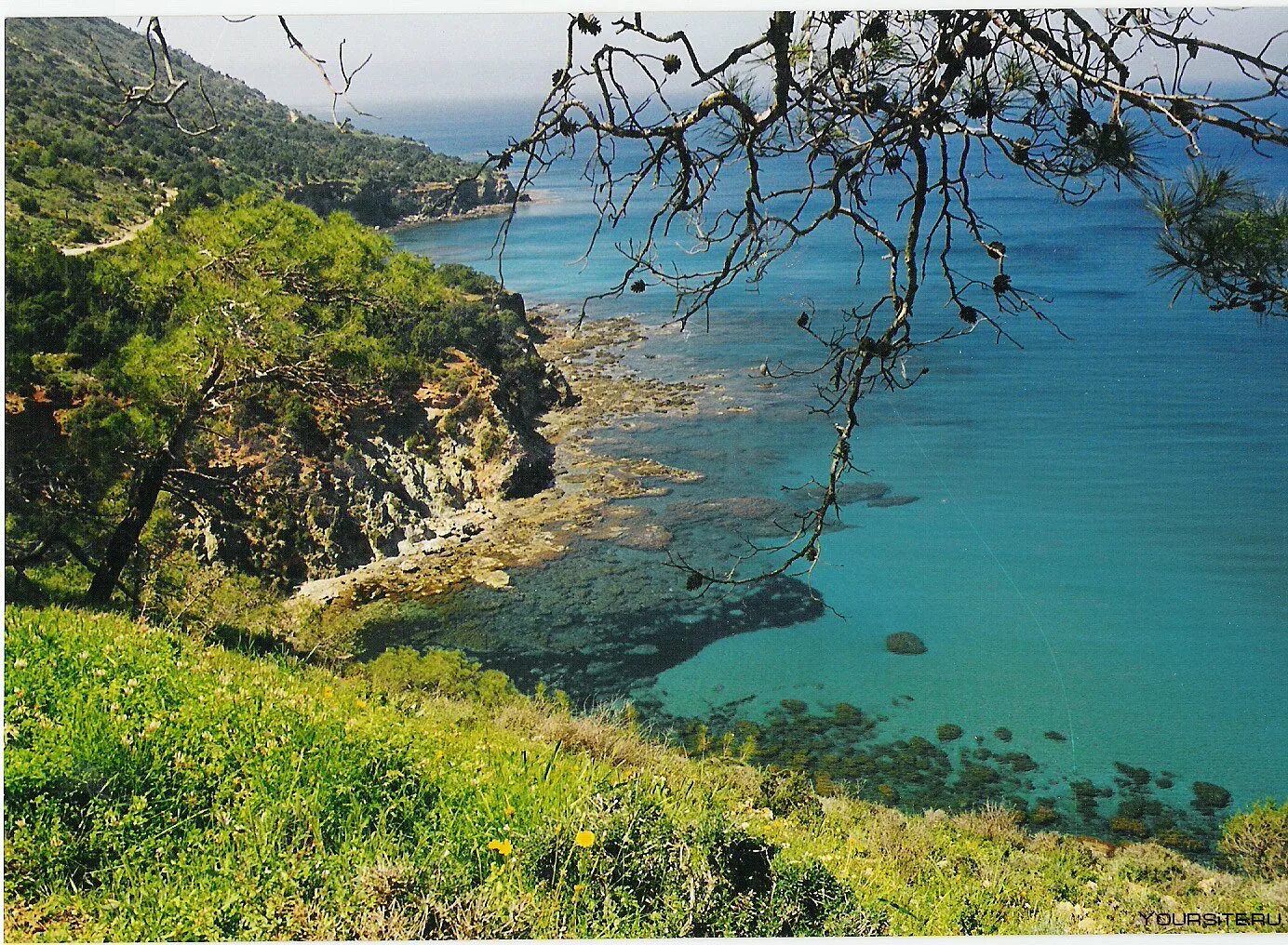 Coast areas. Кипр заповедник Аккамас. Полуостров Акамас Кипр. Парк полуостров Акамас. Полуостров Акамас Кипр фото.