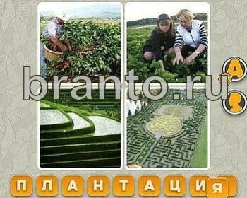 Уровень 9 букв