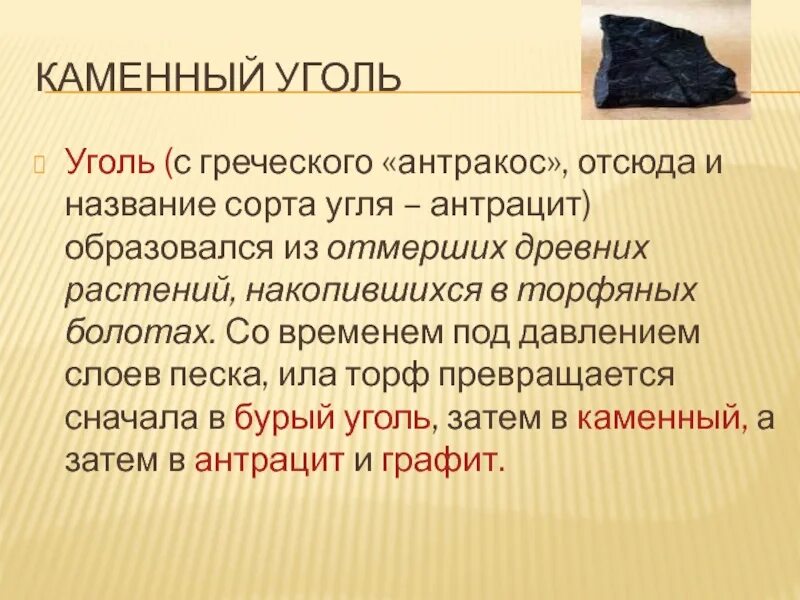 Образование каменного угля 5. Каменный уголь происхождение. Происхождение каменногоцгля. Появление каменного угля. Информация про уголь.