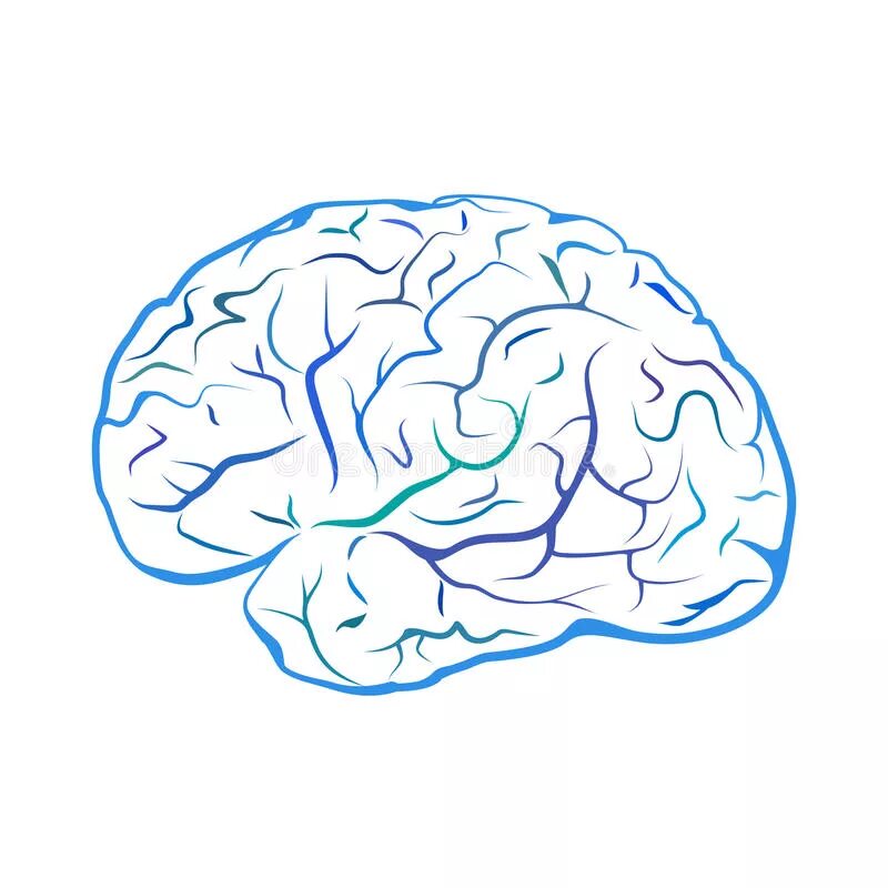 Brain mark. Мозг контур. Голубой мозг на белом фоне. Мозг рисунок синий. Иконка мозг белый контур.
